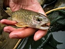 2007-05-16 019.JPG